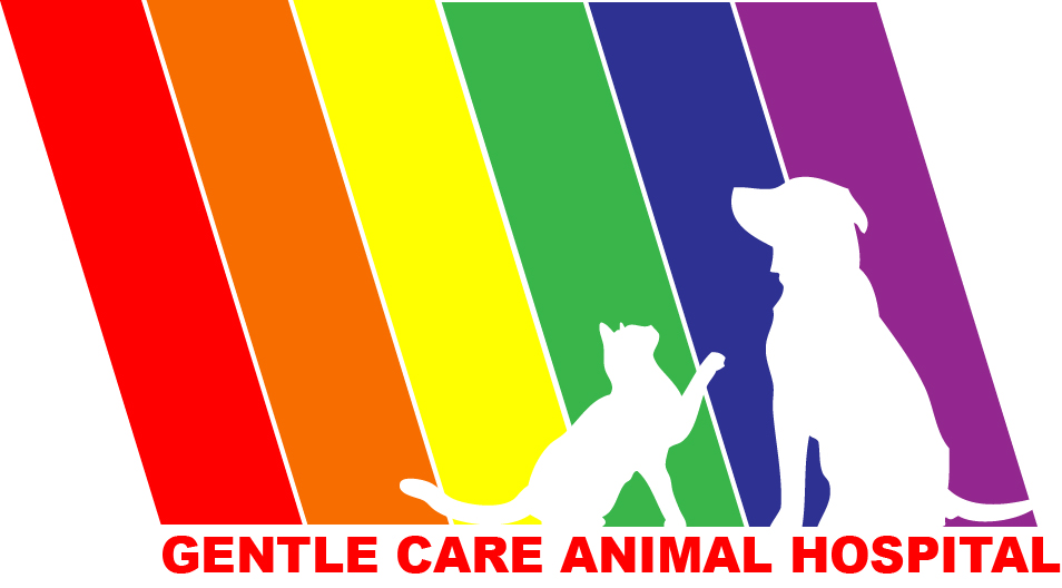 Gentle Care Animal Hospital Selects Vetter Software’s Cloud Practice Management Software