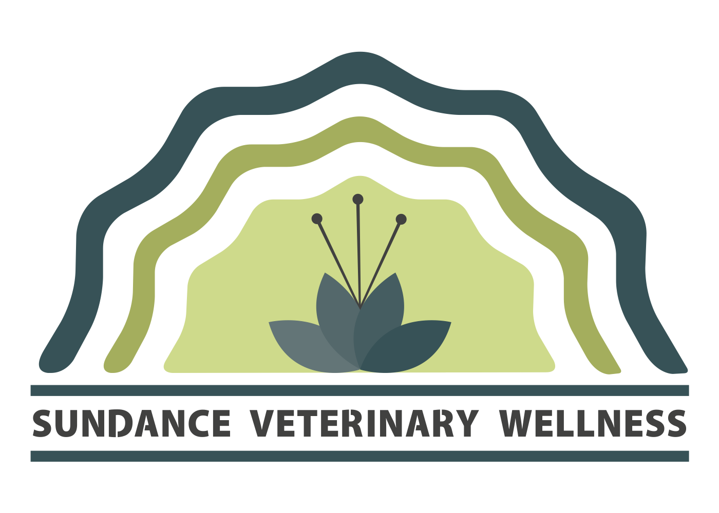 Sundance Veterinary Wellness Selects Our Software to Power its Growing Practice