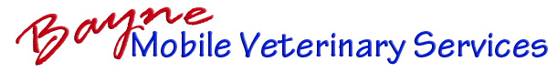 Customer Spotlight: Bayne Mobile Veterinary Services