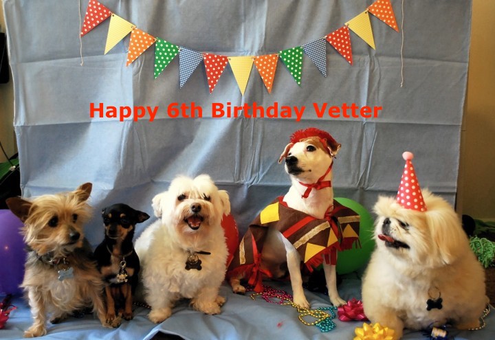 Happy 6th birthday to us!