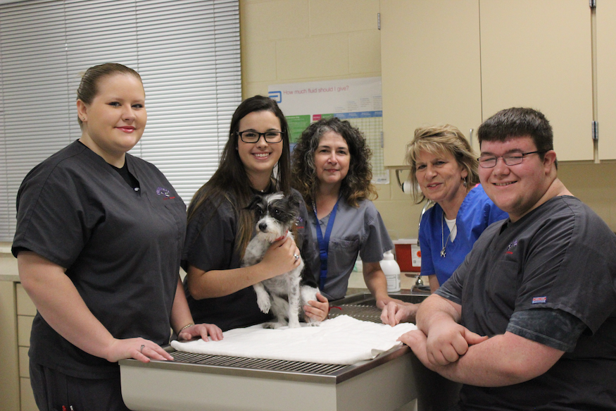 Customer Spotlight: Edu-Vet Pet Hospital