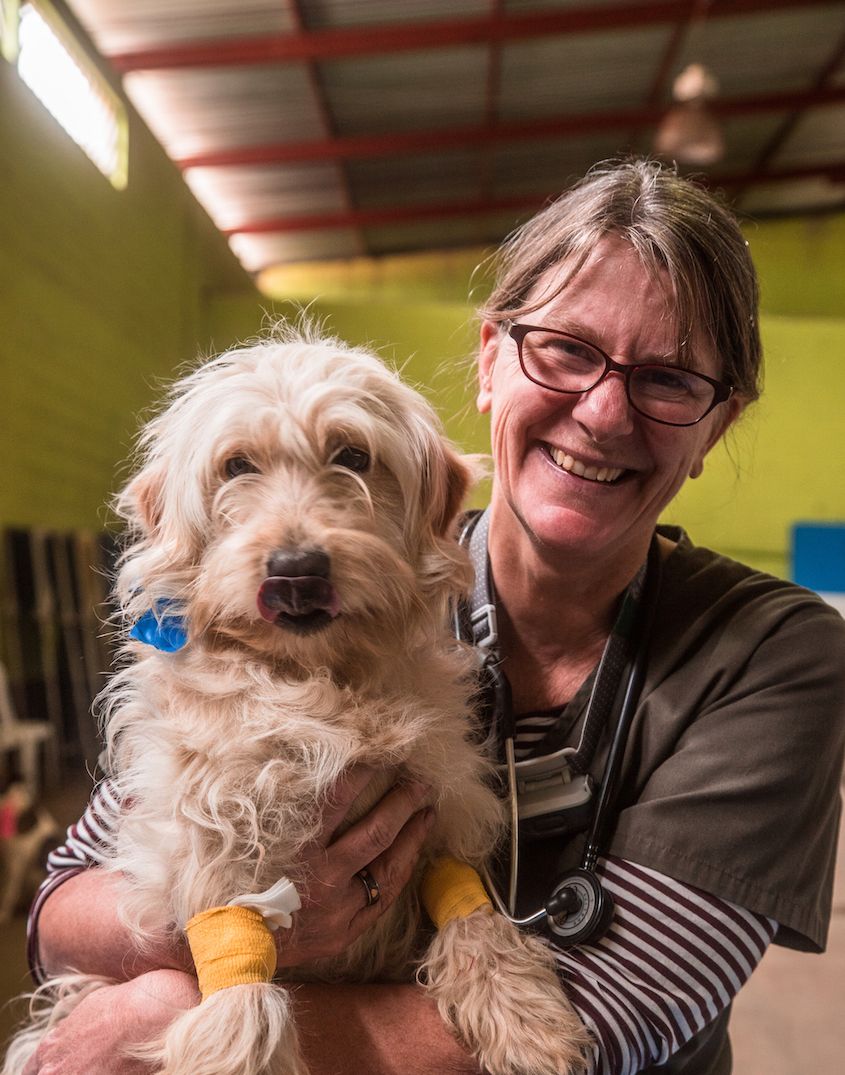 Vetter Software, Telemedicine and Veterinary care for dogs in a Mayan Village