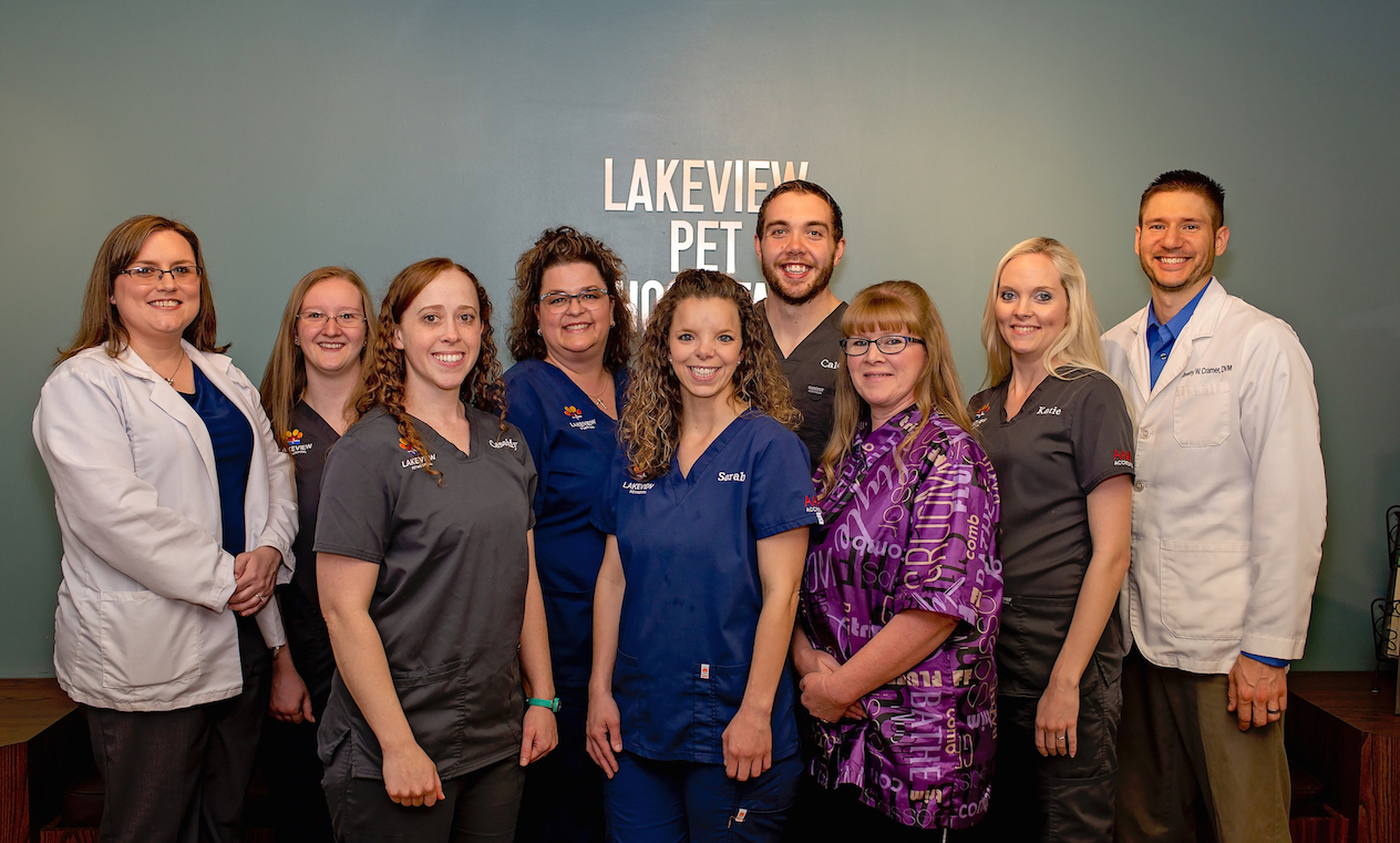 Customer Spotlight: Lakeview Pet Hospital
